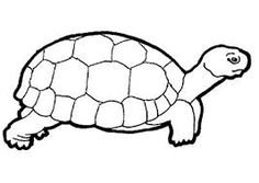 236x167 Black And White Clip Art Of A Turtle