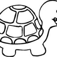 200x200 Turtle Clipart Black And White