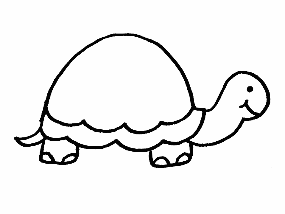 957x718 Turtle Clipart Simple