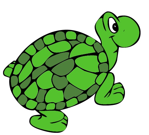 489x445 Sea Turtle Clipart Black And White Free 4
