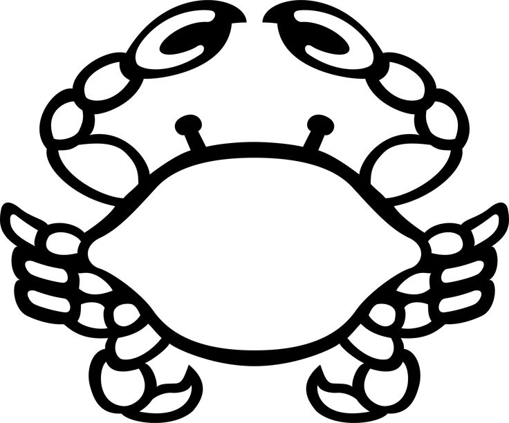 736x612 The Best Crab Clipart Ideas Starfish Clipart