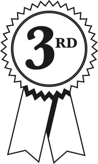 343x575 Ribbon Clipart 3rd