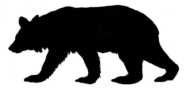 600x291 Black Bear Clipart Animal Shadow