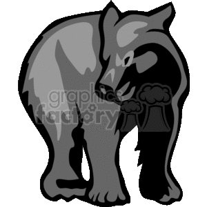 300x300 Royalty Free Young Black Bear Standing On All Fours 130019 Vector