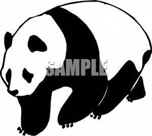 300x268 And White Panda Bear Clip Art Image