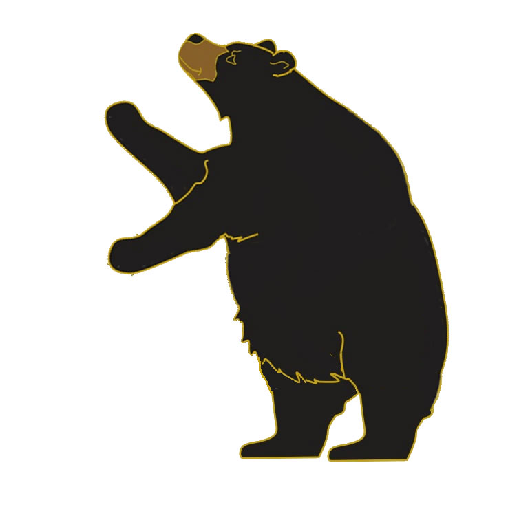 738x772 Top 65 Black Bear Clip Art