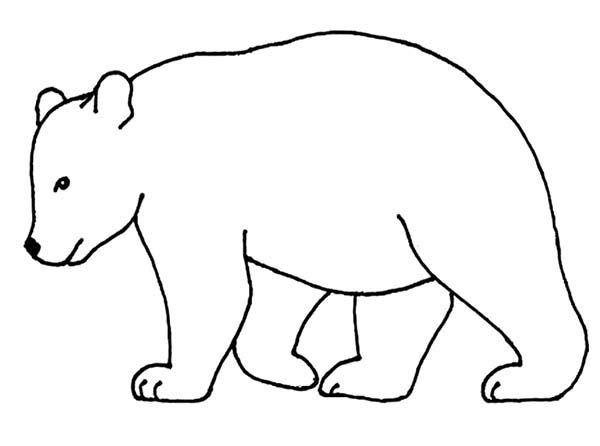 600x446 Bear Outline Picture Coloring Page