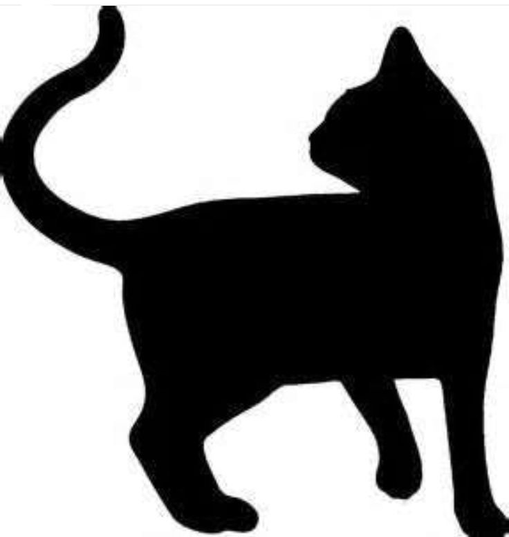 736x776 Black Cat Clipart Hocus Pocus