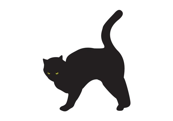700x490 Black Cat Free Vector Art