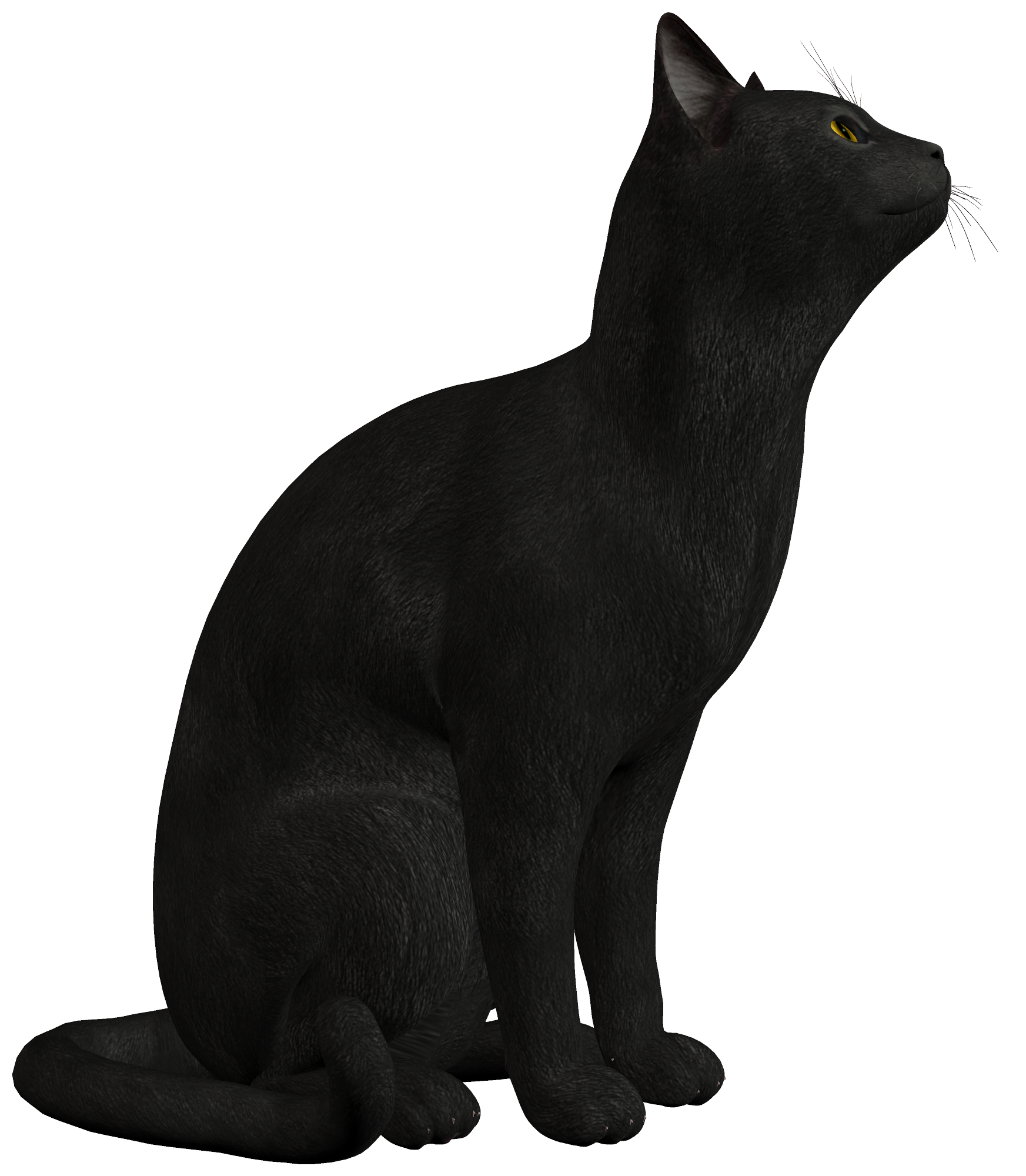 1745x2000 Black Cat Png Clipart