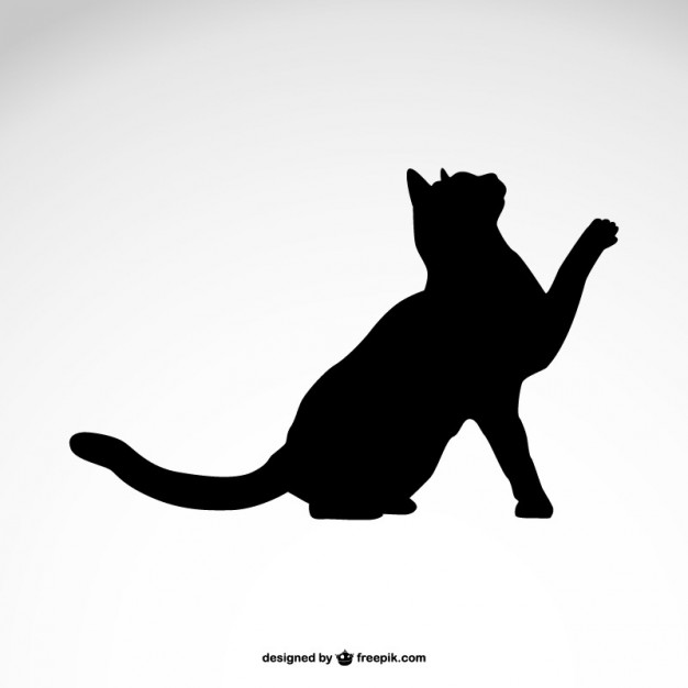 626x626 Black Cat Vectors, Photos And Psd Files Free Download