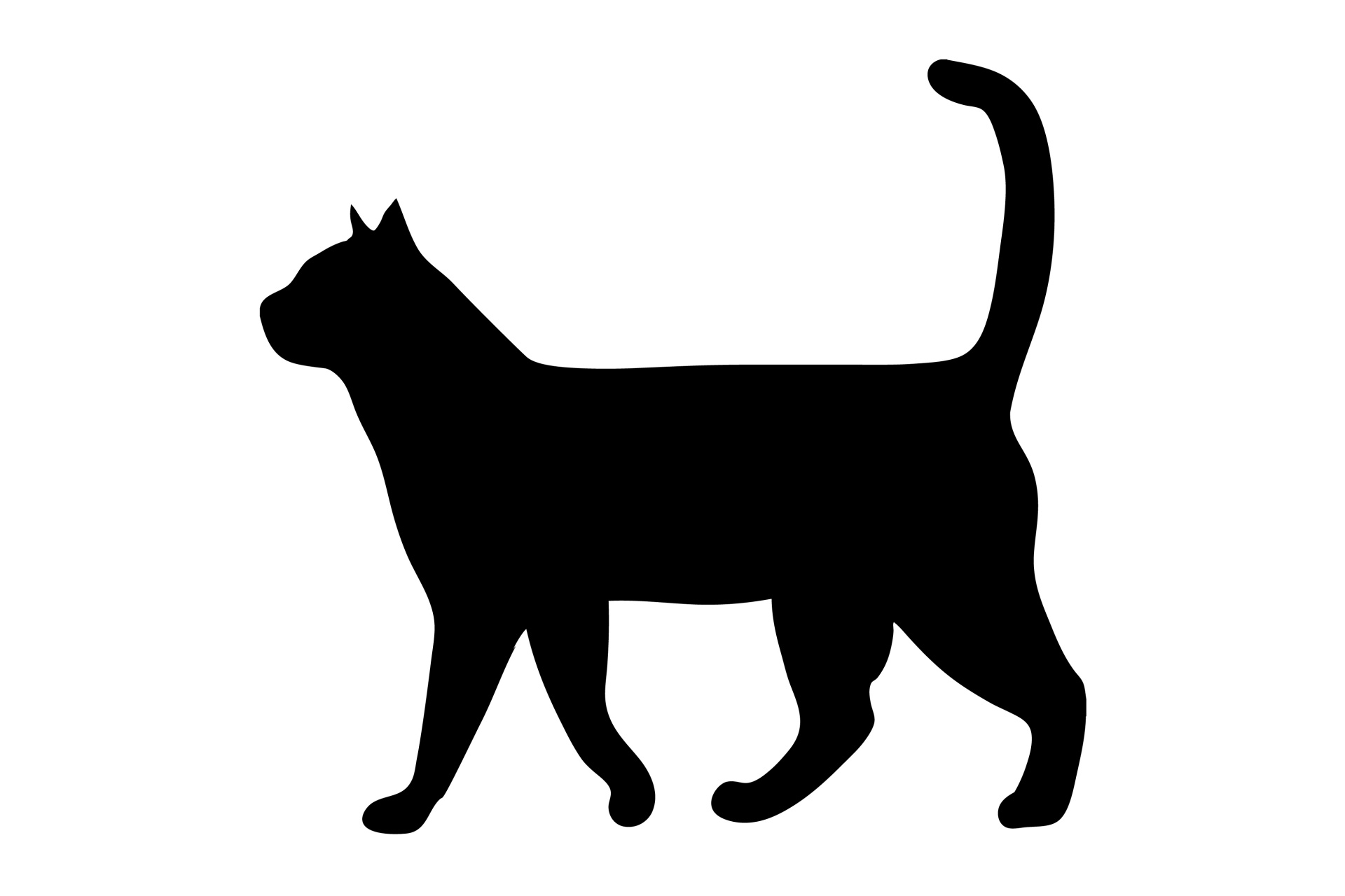 1920x1280 Cat Walking Black Silhouette Free Stock Photo