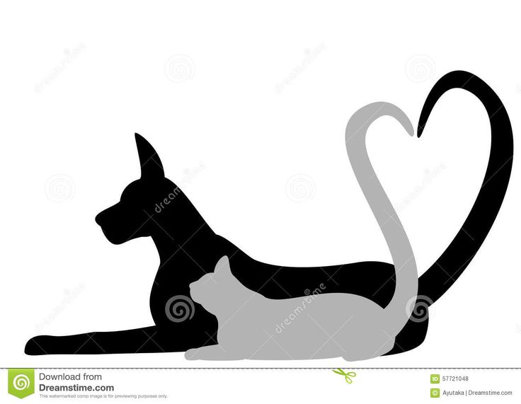 736x571 The Best Cat Silhouette Tattoos Ideas