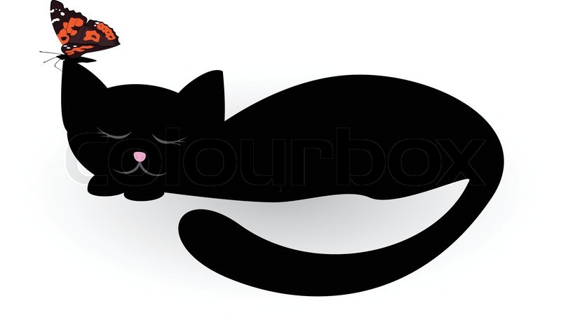 800x450 Sleeping Black Cat And Butterfly Stock Vector Colourbox