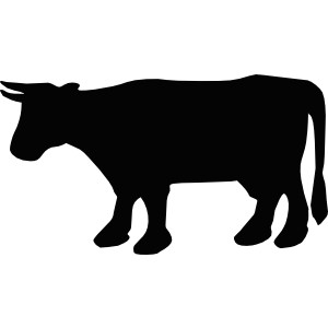300x300 Cow Clipart Stencil