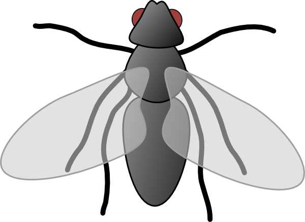 600x437 Fly3 Clip Art