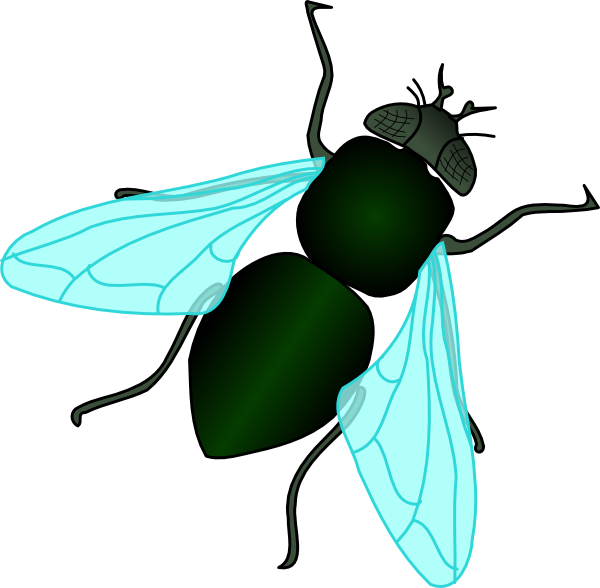 600x588 Clipart Fly