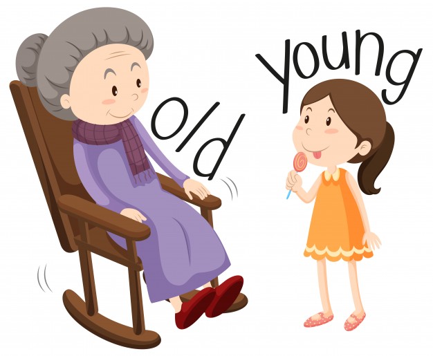 626x515 Grandmother Vectors, Photos And Psd Files Free Download