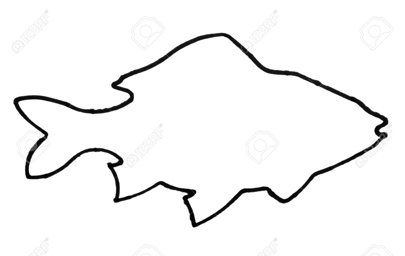 1300x824 Outline Of A Fish Stock Photo, Picture And Royalty Free Image