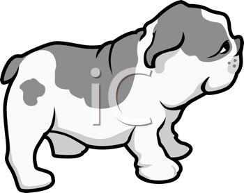 350x278 Puppy Clipart Cute Pug