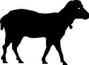 288x212 Sheep Clip Art 6