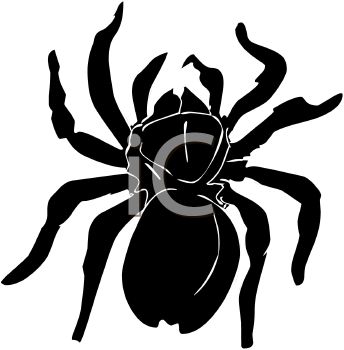344x350 Picture Of A Black Spider In A Vector Clip Art Illustration