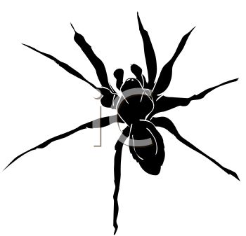 350x337 Spider Clipart Black And White Clipart Panda