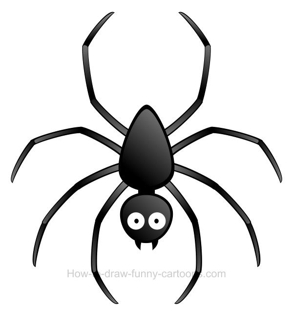 600x668 To Draw A Spider Clip Art