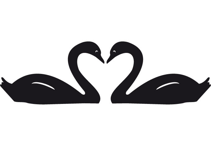 680x472 Black Swan Clipart Love