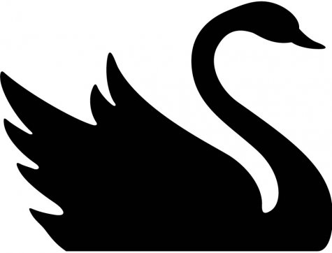 475x362 Black Swan Clipart Clipartfest