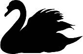 170x112 Black Swan Clip Art