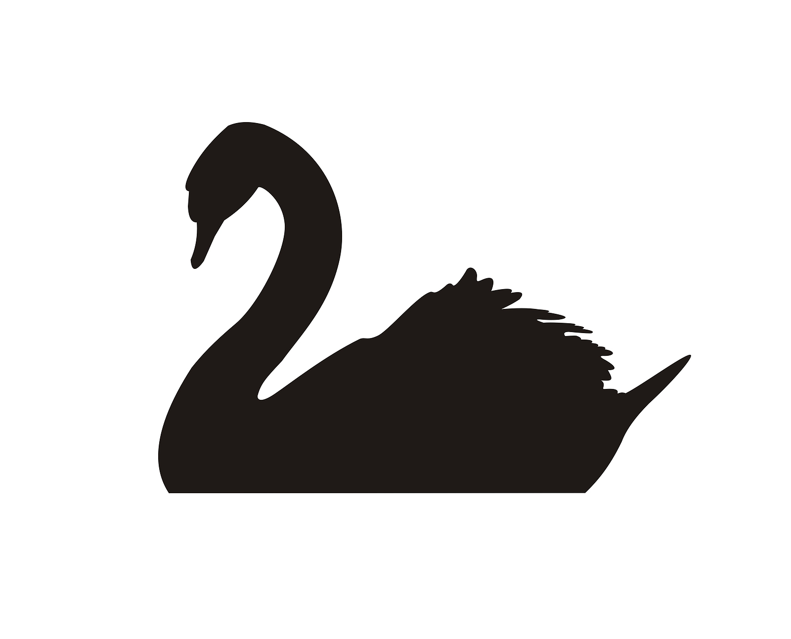 1600x1293 Black Swan Clipart Bird