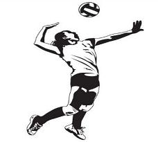 228x205 Free Volleyball Players Clipart