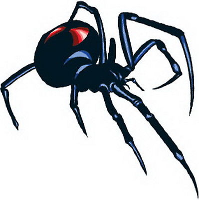 399x400 Black Widow Spider Tattoo