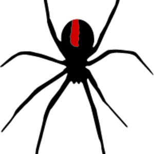 300x300 Black Widow Clipart Back