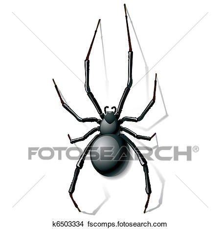 450x470 Clipart Of Black Widow Spider K6503334