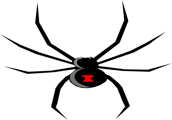 600x419 Graphics For Black Widow Spider Clip Art Graphics Www