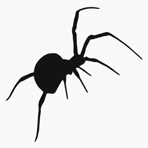 500x500 35 Best Tribal Spiders Images Black Widow