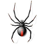 170x170 Widow Spider Clip Art