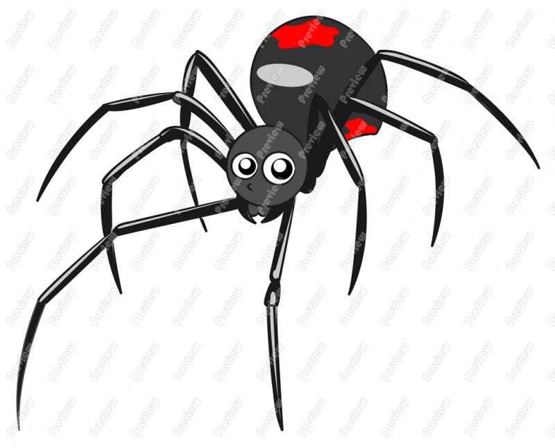 800x646 Black Widow Spider Character Clip Art