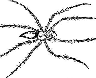 336x274 Black Widow Spider Clip Art Vector Clip Art Free Vector Free Download