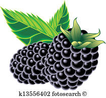 210x194 Bramble Clipart Vector Graphics. 194 Bramble Eps Clip Art Vector