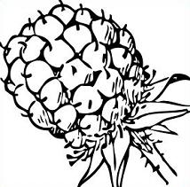 214x211 Free Blackberries Clipart