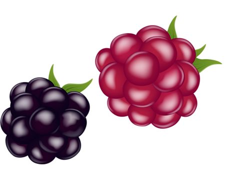 474x355 Pin By Snowmoon On Png And Gifs