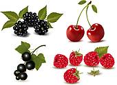 170x124 Blackberry Clip Art