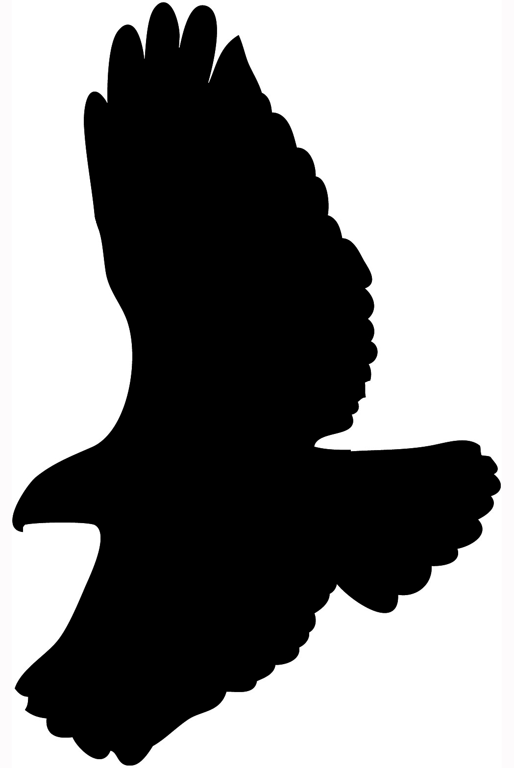 1049x1568 Hawk Silhouette Clipart