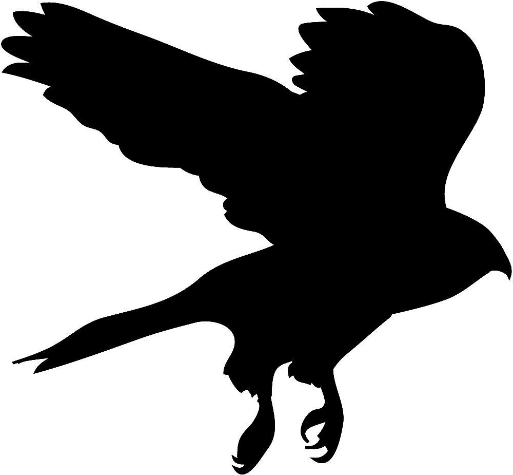 1000x925 Hawk Silhouette Clipart 2