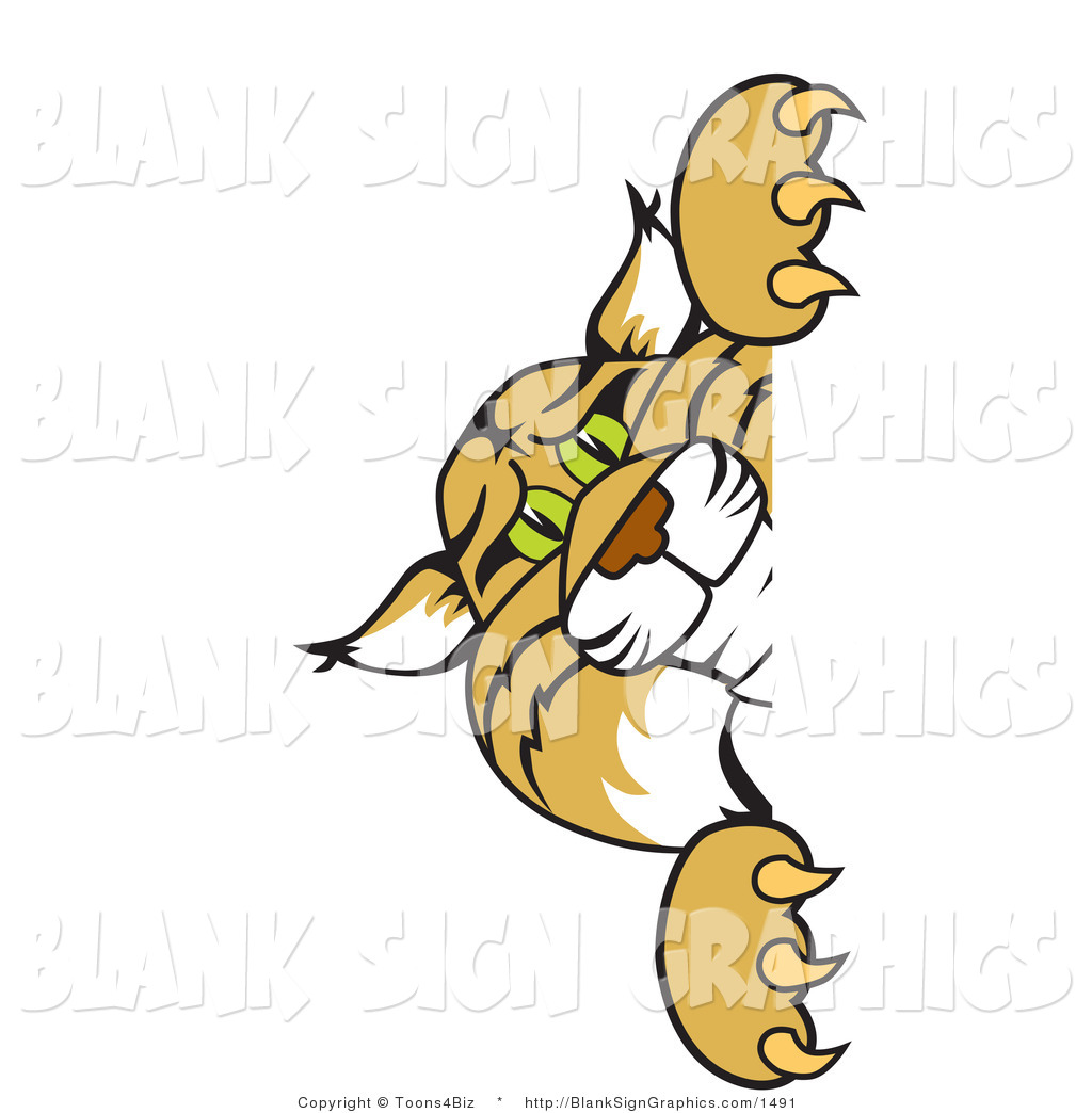 1024x1044 Bobcat Clipart