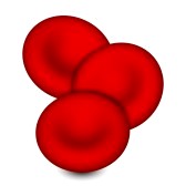 168x168 Red Blood Cells Clip Art Cliparts