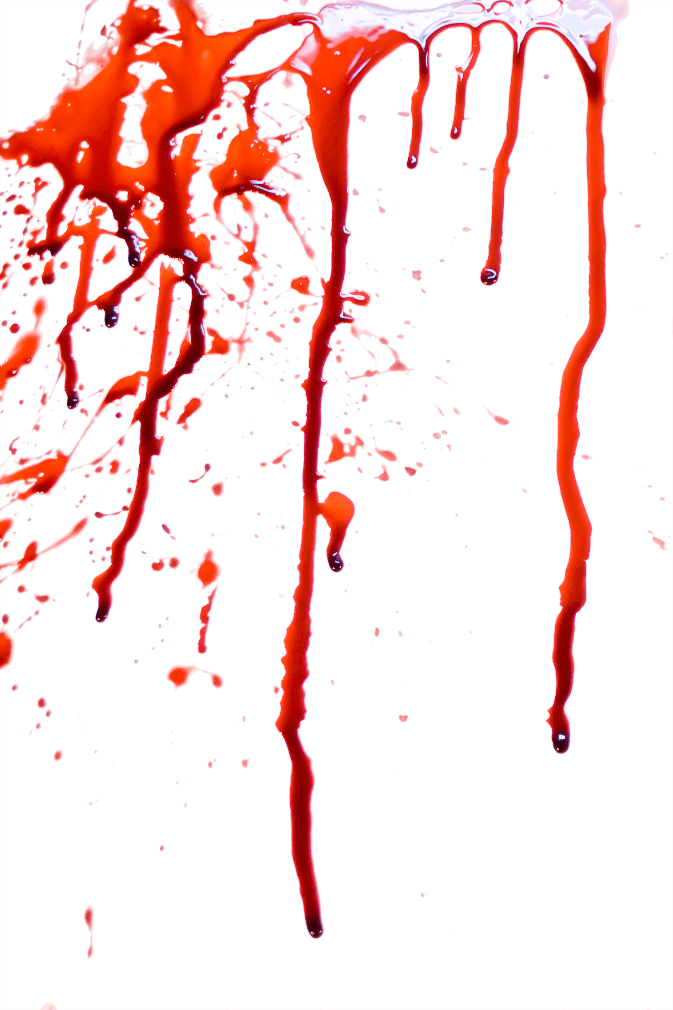2304x3456 Download Blood Png Image Hq Png Image Freepngimg